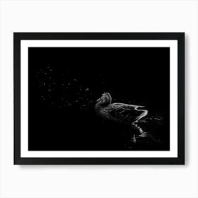 Black And White Duck Floating In The Reflection Of Stars In The Water Art Print