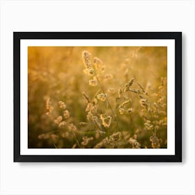 Yellow Grain // Nature Photography Art Print