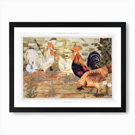 Vintage Chickens Art Print