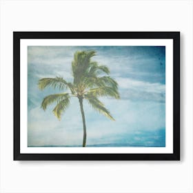 Palm Tree 10 Art Print