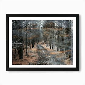 Vintage Forest Photo Collage 7 Art Print