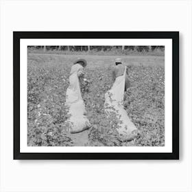 Cotton Pickers, Lehi, Arkansas By Russell Lee Art Print