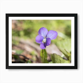 Wild Purple Violet Art Print