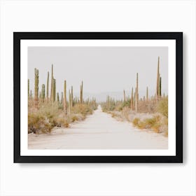 Arizona Desert Trail Art Print