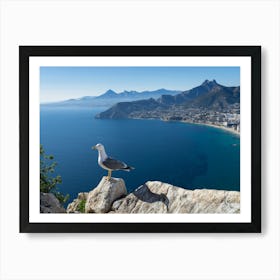 Seagull on a rock overlooking the Mediterranean Sea 1 Art Print