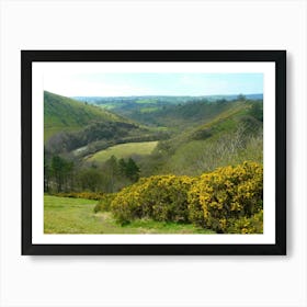 Valley Of The Yellow Flowers Art Print