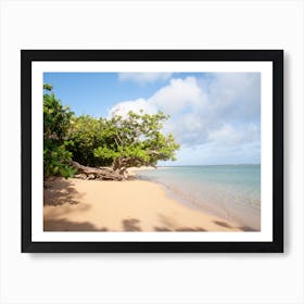 Hawaiian Beach 1 Art Print