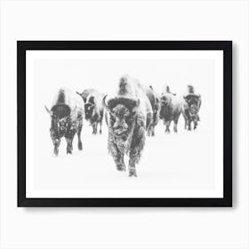Bison Winter Scene Art Print