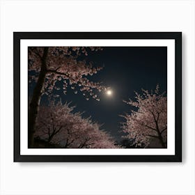 Cherry Blossoms At Night 3 Art Print