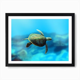 a turtle Art Print