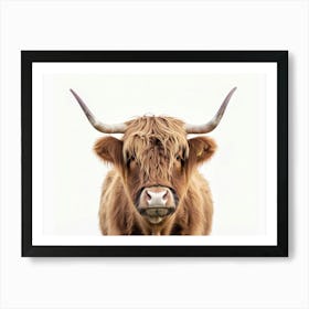 Highland Cow Art Print