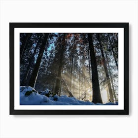 Snowy forest in a picturesque view Art Print