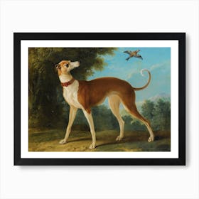 Greyhound In A Landscape, Jean Baptiste Oudry Art Print