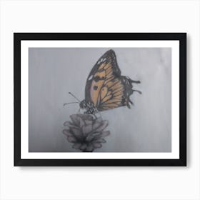 buterfly sketch Art Print