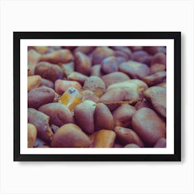 Ice Cube Between River Stones Art Print