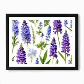 Nature Pattern Isolate White Arrangement Purple Flat Floral Blue Natural Herbal Medicine (1) 2 Art Print