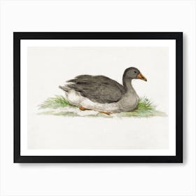 Duck, Jean Bernard Art Print