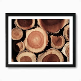 Warm Log Cross Section Art Print