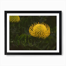 Yellow Botanicals Art Print