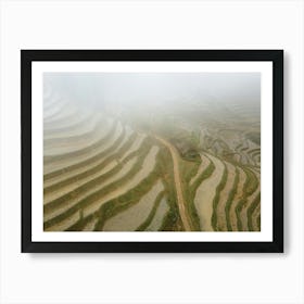 Ricefields Art Print