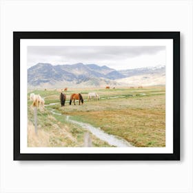 Horses In Iceland  Art Print