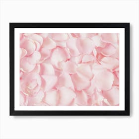 Baby Pink Flower Petals Art Print