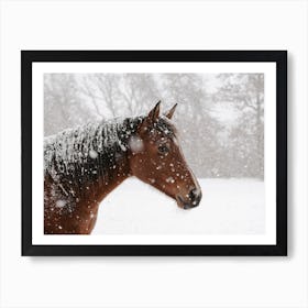Snowy Winter Horse Art Print