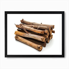 Pile Of Sticks Art Print