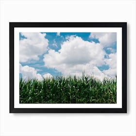 Rural Corn Fields III Art Print