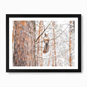 Squirrel In Tree Art Print