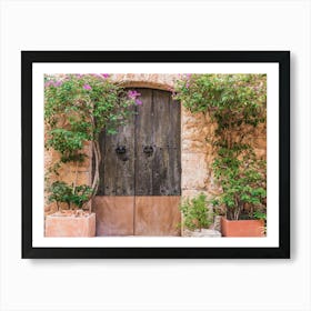 Door To A House Art Print