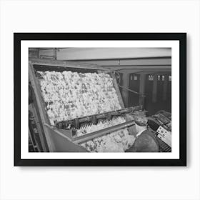 Freshly Scoured Wool Entering Drying Chamber At Wool Scouring Plant, San Marcos, Texas By Russell Lee Póster