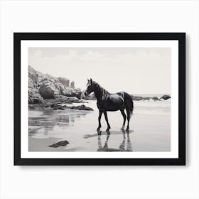 A Horse Oil Painting In Praia Da Marinha, Portugal, Landscape 3 Art Print