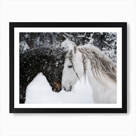 Horses In Snow Storm Art Print