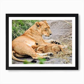 Lion Mother And Cub on the Serengeti (Africa Series) Art Print