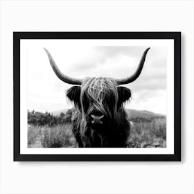 Scottish Highland Cattle 2 Black And White Art Print