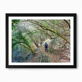 Autumn Walk in the Forest. Walking along a leaf-covered path in a dense forest. The trees are tall and their branches form a canopy overhead, with sunlight filtering through the leaves, creating a serene and picturesque scene. 1 Art Print