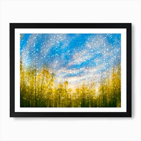 Rainy Forest Art Print