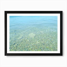 Clear Water Art Print