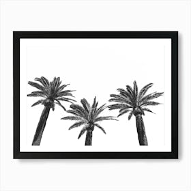Three Palm Trees In Black And White Art Print