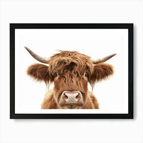 Highland Cow 9 Art Print