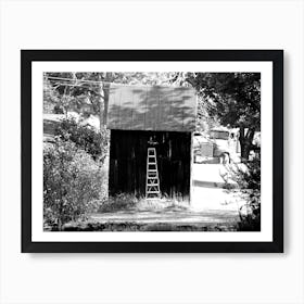 Shed Ladder BW Art Print