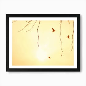 Flying Bird Silhouettes in a Hazy Summer Sky Art Print