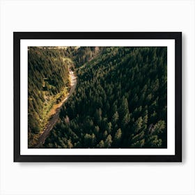 Road Through The Trees Art Print