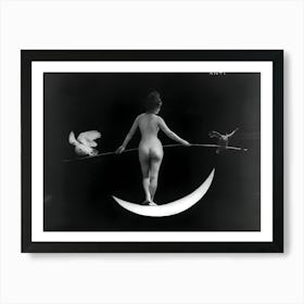 Moon And The Bird Art Print