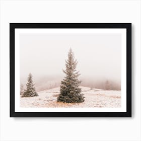 Stand Alone Pine Tree Art Print