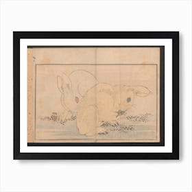 Rabbitt, Katsushika Hokusai Art Print