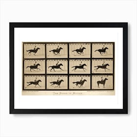 The Horse In Motion Animal Locomotion Art Print
