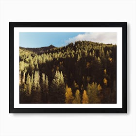 Green Mountains Art Print