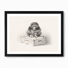 Seated Monkey On Box (1878–1890) By Theo Van Hoytema Art Print